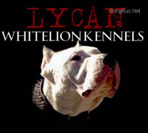 LYCAN