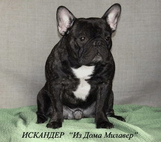 МАРК