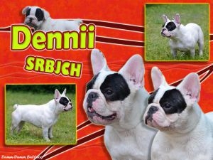 Dennii