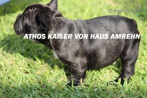 ATHOS