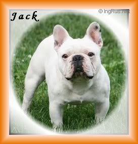 JACK