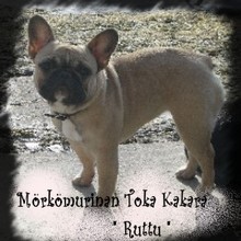 RUTTU