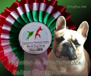 VALENTINO DE LITTLEFRENCHIES