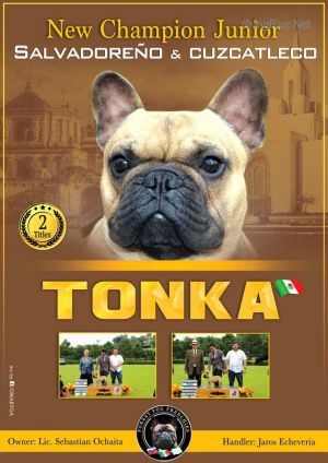 TONKA