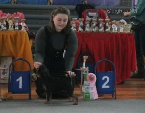 Яра