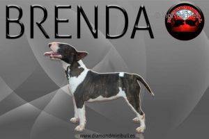 brenda