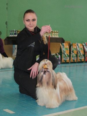 Златик